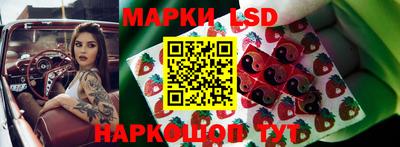 прущие грибы Рязань
